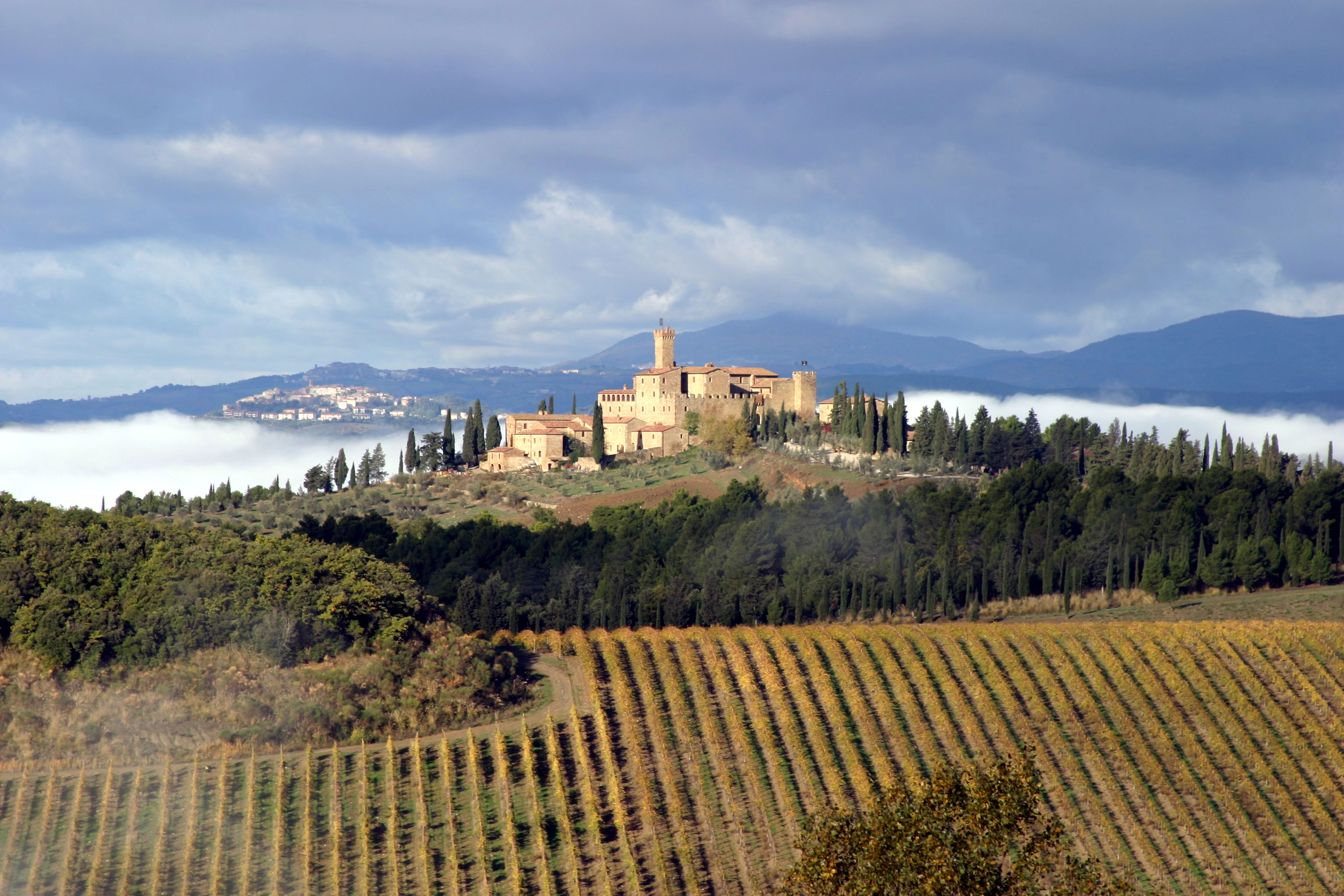 Castello Banfi - italiensk vin - Engelstad