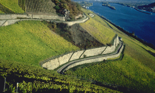 Tyskland – Rüdesheim