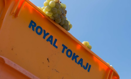 2017 Vintage & Vinification Royal Tokaji