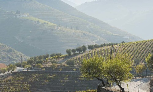 Nyheter November 2025