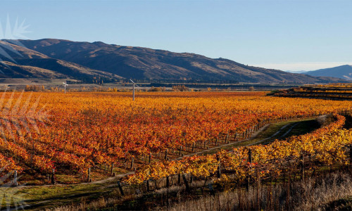 Central Otago