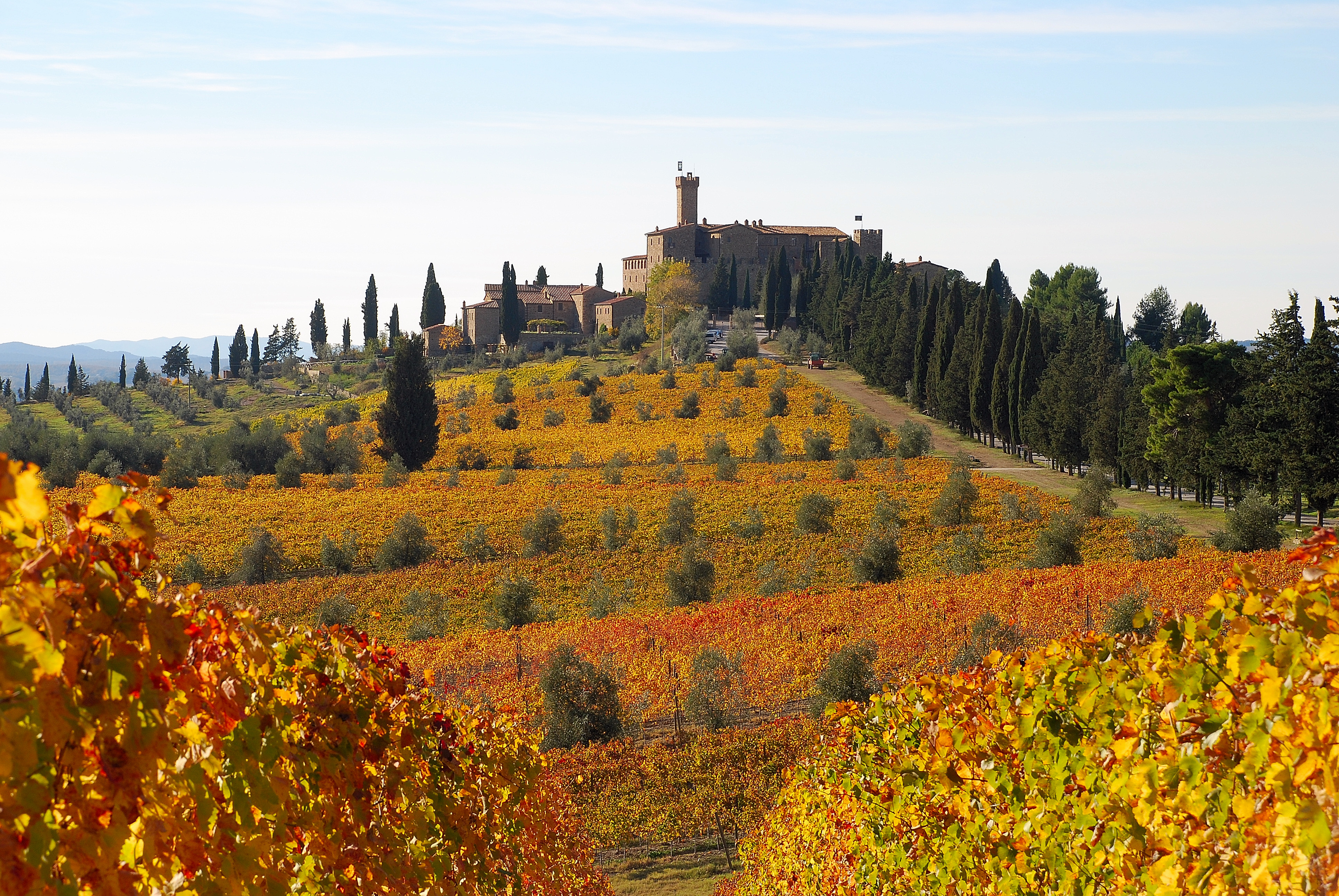 Castello Banfi - italiensk vin - Engelstad