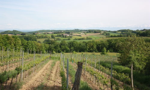 Plaimont og vinområdene