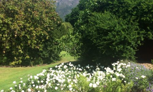 Boekenhoutskloof Winery