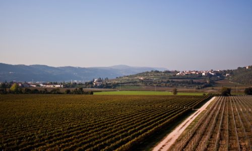 Cantina Valpantena